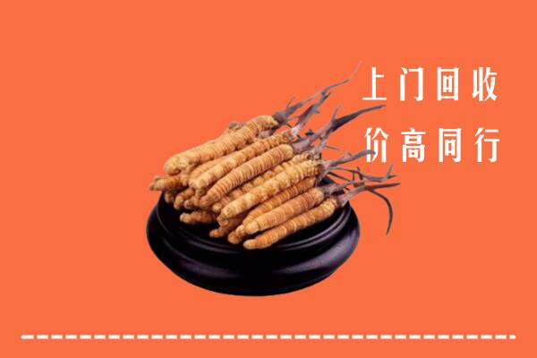 高价求购：北京门头沟区回收散虫草