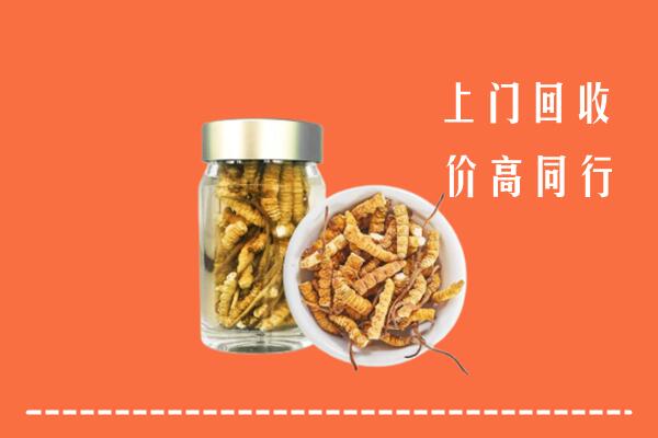 北京门头沟区回收冬虫夏草